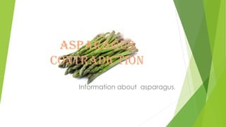 Asparagus
contradiction
Information about asparagus.
 