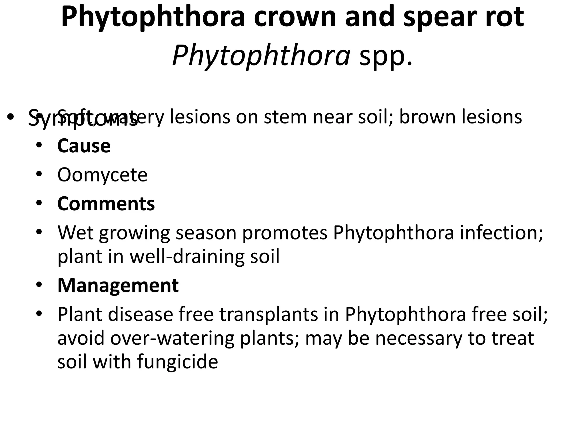 Phytophthora crown and spear rot
Phytophthora spp.
• Soft, watery lesions on stem near soil; brown lesions
• Cause
• Oomycete
• Comments
• Wet growing season promotes Phytophthora infection;
plant in well-draining soil
• Management
• Plant disease free transplants in Phytophthora free soil;
avoid over-watering plants; may be necessary to treat
soil with fungicide
• Symptoms
