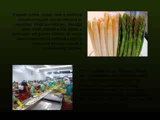 Existem outros  casos, mas o medicina alopática impede que se obtenha os registros.  Peço aos leitores,  divulgar estas boas noticias e nos ajudar a colecionar um grande número de casos que convençam os médicos cépticos sobre este remédio natural e incrivelmente simples. Para o tratamento os aspargos devem ser cozidos antes de consumi-los sendo que os aspargos enlatados são tão bons quanto os aspargos frescos. Simplesmente temos que ter cuidado com a marca que se usa,  assegurando-se que contenham o mínimo possível de pesticidas e conservantes. 