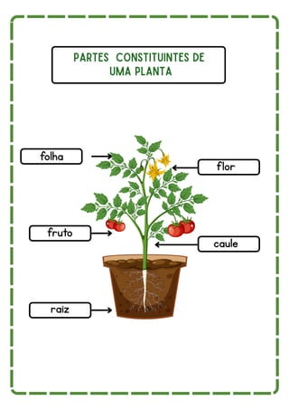 fola
Partes constituintes de
uma Planta
folha
flor
fruto
raiz
caule
 