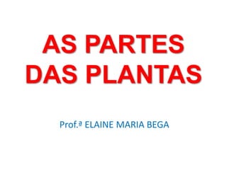 AS PARTES 
DAS PLANTAS 
Prof.ª ELAINE MARIA BEGA 
 