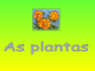 As plantas 