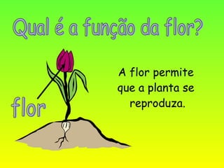 A flor permite
que a planta se
  reproduza.
 