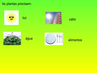 As plantas precisam:



             luz       calor




               água    alimentos
 