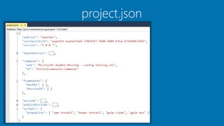 project.json
 