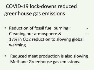 COVID-19 lock-downs reduced
greenhouse gas emissions
• Reduction of fossil fuel burning : -
Cleaning our atmosphere & --
17% in CO2 reduction to slowing global
warming.
• Reduced meat production is also slowing
Methane Greenhouse gas emissions.
 