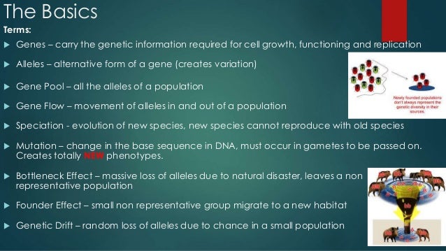 bio notes speciation Aqa gce biology a2 award 2411 unit 4 populations & environment selection & speciation practice exam questions. bio notes speciation Aqa gce biology a2 award 2411 unit 4 populations & environment selection & speciation practice exam questions.