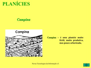 PLANÍCIES


    Campina



                                 Campina – é uma planície muito
                                          fértil, muito produtiva,
                                          mas pouco arborizada.




              Novas Tecnologias da Informação e Comunicação na Escola - A. Serrano
 