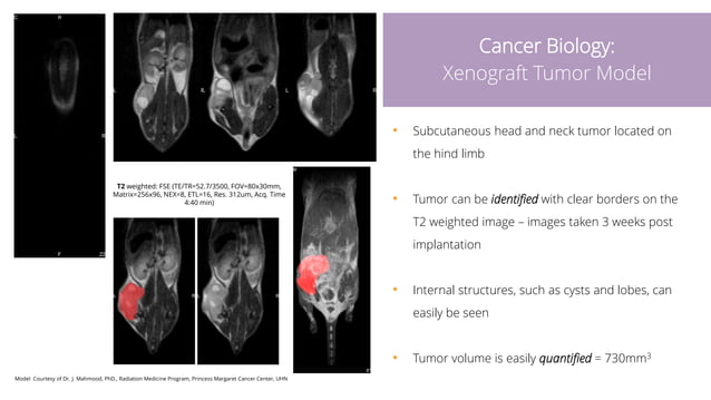 Changing how researchers think about MRI: Utilizing a simple to use ...