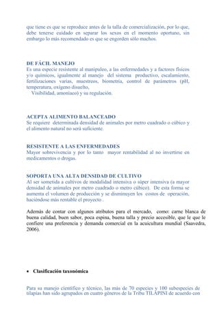 que tiene es que se reproduce antes de la talla de comercialización, por lo que,
debe tenerse cuidado en separar los sexos en el momento oportuno, sin
embargo lo más recomendado es que se engorden sólo machos.
DE FÁCIL MANEJO
Es una especie resistente al manipuleo, a las enfermedades y a factores físicos
y/o químicos, igualmente al manejo del sistema productivo, escalamiento,
fertilizaciones varias, muestreos, biometría, control de parámetros (pH,
temperatura, oxígeno disuelto,
Visibilidad, amoníaco) y su regulación.
ACEPTA ALIMENTO BALANCEADO
Se requiere determinada densidad de animales por metro cuadrado o cúbico y
el alimento natural no será suficiente.
RESISTENTE A LAS ENFERMEDADES
Mayor sobrevivencia y por lo tanto mayor rentabilidad al no invertirse en
medicamentos o drogas.
SOPORTA UNA ALTA DENSIDAD DE CULTIVO
Al ser sometida a cultivos de modalidad intensiva o súper intensiva (a mayor
densidad de animales por metro cuadrado o metro cúbico). De esta forma se
aumenta el volumen de producción y se disminuyen los costos de operación,
haciéndose más rentable el proyecto .
Además de contar con algunos atributos para el mercado, como: carne blanca de
buena calidad, buen sabor, poca espina, buena talla y precio accesible, que le que le
confiere una preferencia y demanda comercial en la acuicultura mundial (Saavedra,
2006).
 Clasificación taxonómica
Para su manejo científico y técnico, las más de 70 especies y 100 subespecies de
tilapias han sido agrupados en cuatro géneros de la Tribu TILAPINI de acuerdo con
 
