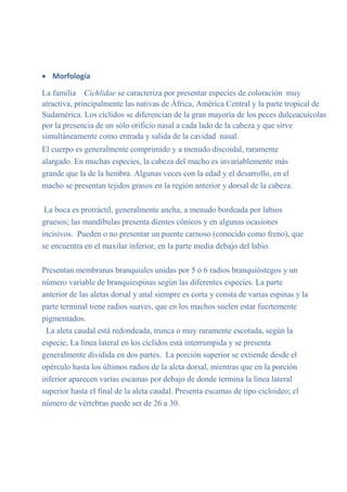  Morfología
La familia Cichlidae se caracteriza por presentar especies de coloración muy
atractiva, principalmente las nativas de África, América Central y la parte tropical de
Sudamérica. Los cíclidos se diferencian de la gran mayoría de los peces dulceacuícolas
por la presencia de un sólo orificio nasal a cada lado de la cabeza y que sirve
simultáneamente como entrada y salida de la cavidad nasal.
El cuerpo es generalmente comprimido y a menudo discoidal, raramente
alargado. En muchas especies, la cabeza del macho es invariablemente más
grande que la de la hembra. Algunas veces con la edad y el desarrollo, en el
macho se presentan tejidos grasos en la región anterior y dorsal de la cabeza.
La boca es protráctil, generalmente ancha, a menudo bordeada por labios
gruesos; las mandíbulas presenta dientes cónicos y en algunas ocasiones
incisivos. Pueden o no presentar un puente carnoso (conocido como freno), que
se encuentra en el maxilar inferior, en la parte media debajo del labio.
Presentan membranas branquiales unidas por 5 ó 6 radios branquióstegos y un
número variable de branquiespinas según las diferentes especies. La parte
anterior de las aletas dorsal y anal siempre es corta y consta de varias espinas y la
parte terminal tiene radios suaves, que en los machos suelen estar fuertemente
pigmentados.
La aleta caudal está redondeada, trunca o muy raramente escotada, según la
especie, La línea lateral en los cíclidos está interrumpida y se presenta
generalmente dividida en dos partes. La porción superior se extiende desde el
opérculo hasta los últimos radios de la aleta dorsal, mientras que en la porción
inferior aparecen varias escamas por debajo de donde termina la línea lateral
superior hasta el final de la aleta caudal. Presenta escamas de tipo cicloideo; el
número de vértebras puede ser de 26 a 30.
 