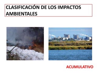 CLASIFICACIÓN DE LOS IMPACTOS
AMBIENTALES
ACUMULATIVO
 