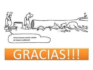 GRACIAS!!!
 