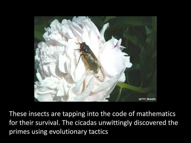 Fascinating Aspect of Math | PPT