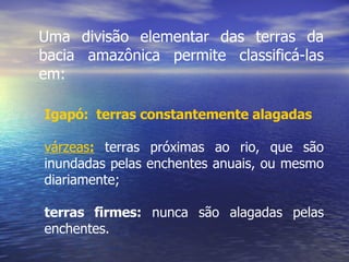 Uma divisão elementar das terras da bacia amazônica permite classificá-las em: Igapó:   terras constantemente alagadas várzeas :  terras próximas ao rio, que são inundadas pelas enchentes anuais, ou mesmo diariamente;  terras firmes:  nunca são alagadas pelas enchentes. 