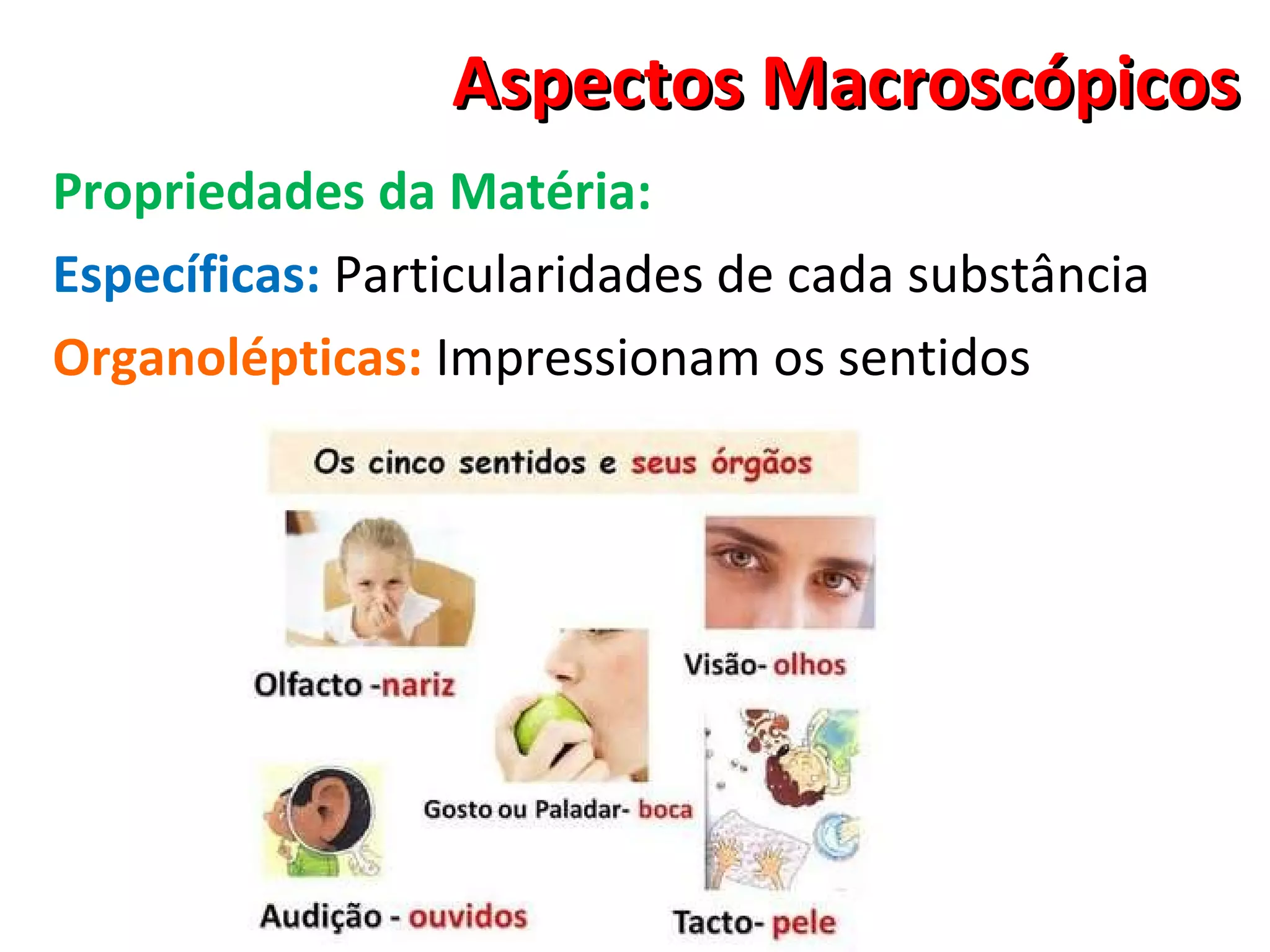 Aspectos Macroscópicos Propriedades da Matéria: Específicas:  Particularidades de cada substância Organolépticas:   Impressionam os sentidos 