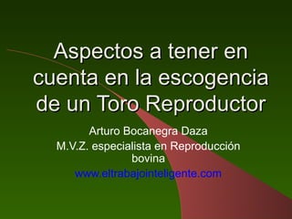 Aspectos a tener en
cuenta en la escogencia
de un Toro Reproductor
        Arturo Bocanegra Daza
  M.V.Z. especialista en Reproducción
                bovina
     www.eltrabajointeligente.com
 