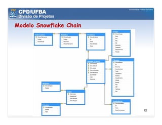 Modelo Snowflake Chain




                         12
 