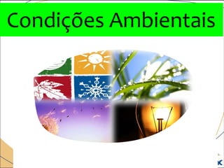 Condições Ambientais
 