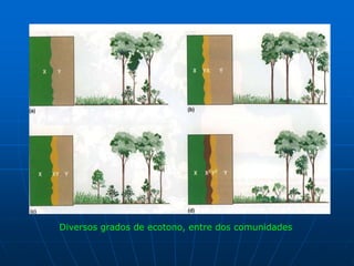 Diversos grados de ecotono, entre dos comunidades
 
