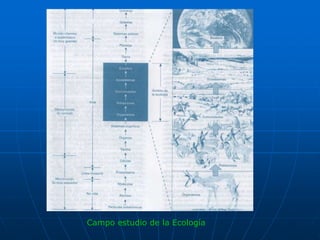 Campo estudio de la Ecología
 