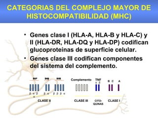 CATEGORIAS DEL COMPLEJO MAYOR DE
    HISTOCOMPATIBILIDAD (MHC)

   • Genes clase I (HLA-A, HLA-B y HLA-C) y
     II (HLA-DR, HLA-DQ y HLA-DP) codifican
     glucoproteínas de superficie celular.
   • Genes clase III codifican componentes
     del sistema del complemento.
      DP       DQ      DR
                                Complemento    TNF     B C   A
                                               α β



    β α β     β α     β β β α
      α
           CLASE II              CLASE III     CITO-   CLASE I
                                              QUINAS
 