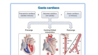 Gasto cardiaco
 