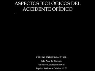 ASPECTOS BIOLÓGICOS DEL
ACCIDENTE OFÍDICO

CARLOS ANDRÉS GALVIS R .

Jefe Área de Biología
Fundación Zoológica de Cali
Equipo Accidente Ofídico HUV

 