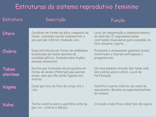 Estruturas do sistema reprodutivo feminino 

Estrutura              Descrição                                   Função 


Útero        Cavidade em forma de pêra composta de     Local de implantação e desenvolvimento
             fundo, contendo tecido endometrial, e     do embrião. É responsável pelas
             uma porção inferior chamada colo.         contrações musculares para expulsão do
                                                       feto durante o parto. 

Ovários      Duas estruturas em forma de amêndoas      Produzem e armazenam gametas (ovos).
             localizadas em lados opostos da           Sintetizam e liberam estrógenos e
             cavidade pélvica. Considerados órgãos     progesterona. 
             sexuais essenciais.

Tubas        Ductos que terminam em projeções em       Os ovos passam através das tubas indo
             forma de dedos (fímbrias) que pairam      dos ovários para o útero. Local de
uterinas     acima, mas que não estão ligados aos      fertilização.
             ovários.

Vagina       Canal que leva de fora do corpo até o     Constitui a parte inferior do canal de
             colo.                                     nascimento. Recebe os espermatozóides
                                                       do homem. 


Vulva        Termo coletivo para a genitália externa   Circunda e lubrifica a abertura da vagina.
             (por ex.: clitóris e lábios). 
 