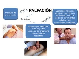 Después de
                         PALPACIÓN                 Cualidades físicas de
                                                  los tejidos, así como su
la inspección                                       sensibilidad, como el
                                                   dolor, los movimientos
                Consiste en
                                                        reflejos y los
                                                  movimientos anormales.
                        Explorar por medio del
                            tacto las partes
                       exteriores del organismo
                            y las cavidades
                               accesibles
 