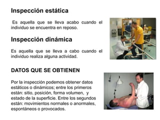 Inspección estática
 Es aquella que se lleva acabo cuando el
individuo se encuentra en reposo.

Inspección dinámica
Es aquella que se lleva a cabo cuando el
individuo realiza alguna actividad.


DATOS QUE SE OBTIENEN

Por la inspección podemos obtener datos
estáticos o dinámicos; entre los primeros
están: sitio, posición, forma volumen, y
estado de la superficie. Entre los segundos
están: movimientos normales o anormales,
espontáneos o provocados.
 
