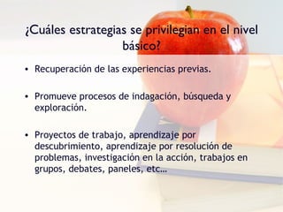 ¿Cuáles estrategias se privilegian en el nivel
                  básico?
• Recuperación de las experiencias previas.

• Promueve procesos de indagación, búsqueda y
  exploración.

• Proyectos de trabajo, aprendizaje por
  descubrimiento, aprendizaje por resolución de
  problemas, investigación en la acción, trabajos en
  grupos, debates, paneles, etc…
 