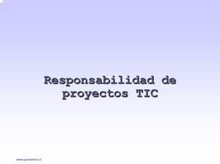 Responsabilidad de
                     proyectos TIC




www.pumarino.cl
 
