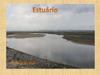 EstuárioEstuário do Tejo