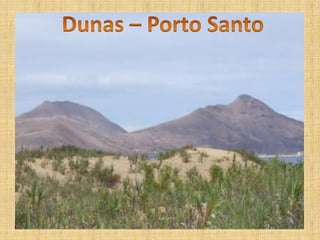 Dunas – Porto Santo