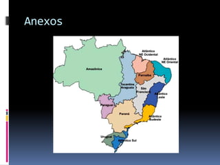 Anexos
 