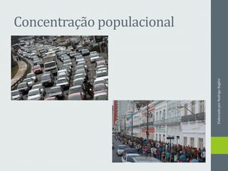 Concentração populacional
ElaboradoporRodrigoBaglini
 