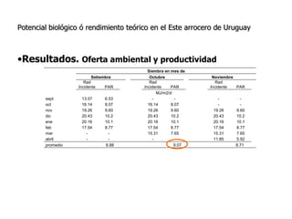 Aspectos de eco-fisiologia en el cultivo de arroz en Uruguay