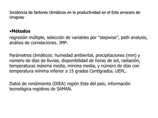 Aspectos de eco-fisiologia en el cultivo de arroz en Uruguay