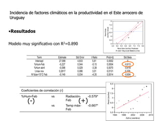 Aspectos de eco-fisiologia en el cultivo de arroz en Uruguay