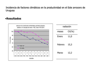 Aspectos de eco-fisiologia en el cultivo de arroz en Uruguay