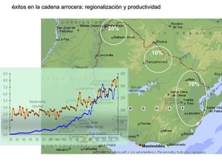 Aspectos de eco-fisiologia en el cultivo de arroz en Uruguay