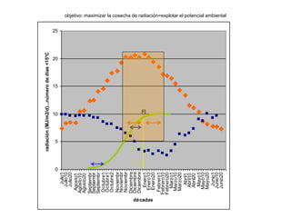 Aspectos de eco-fisiologia en el cultivo de arroz en Uruguay