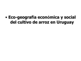 Aspectos de eco-fisiologia en el cultivo de arroz en Uruguay