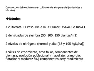 Aspectos de eco-fisiologia en el cultivo de arroz en Uruguay
