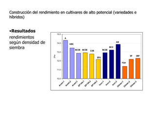 Aspectos de eco-fisiologia en el cultivo de arroz en Uruguay