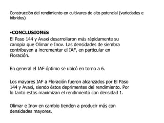 Aspectos de eco-fisiologia en el cultivo de arroz en Uruguay
