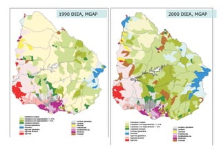 Aspectos de eco-fisiologia en el cultivo de arroz en Uruguay