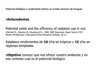 Aspectos de eco-fisiologia en el cultivo de arroz en Uruguay
