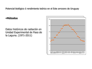 Aspectos de eco-fisiologia en el cultivo de arroz en Uruguay
